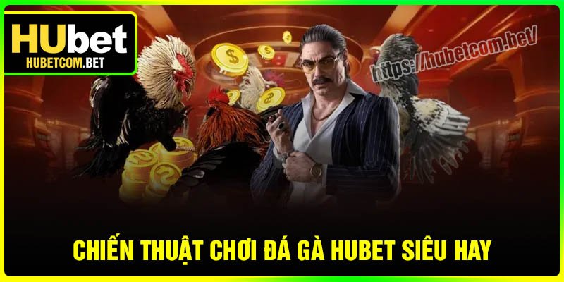 Chiến thuật chơi Đá gà Hubet siêu hay