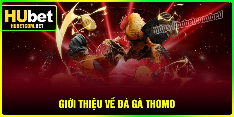 Giới thiệu về Đá gà Thomo