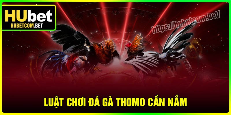 Luật chơi Đá gà Thomo tân thủ cần nắm