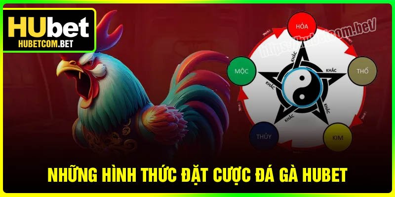 Top hình thức Đá Gà Hubet phổ biến nhất